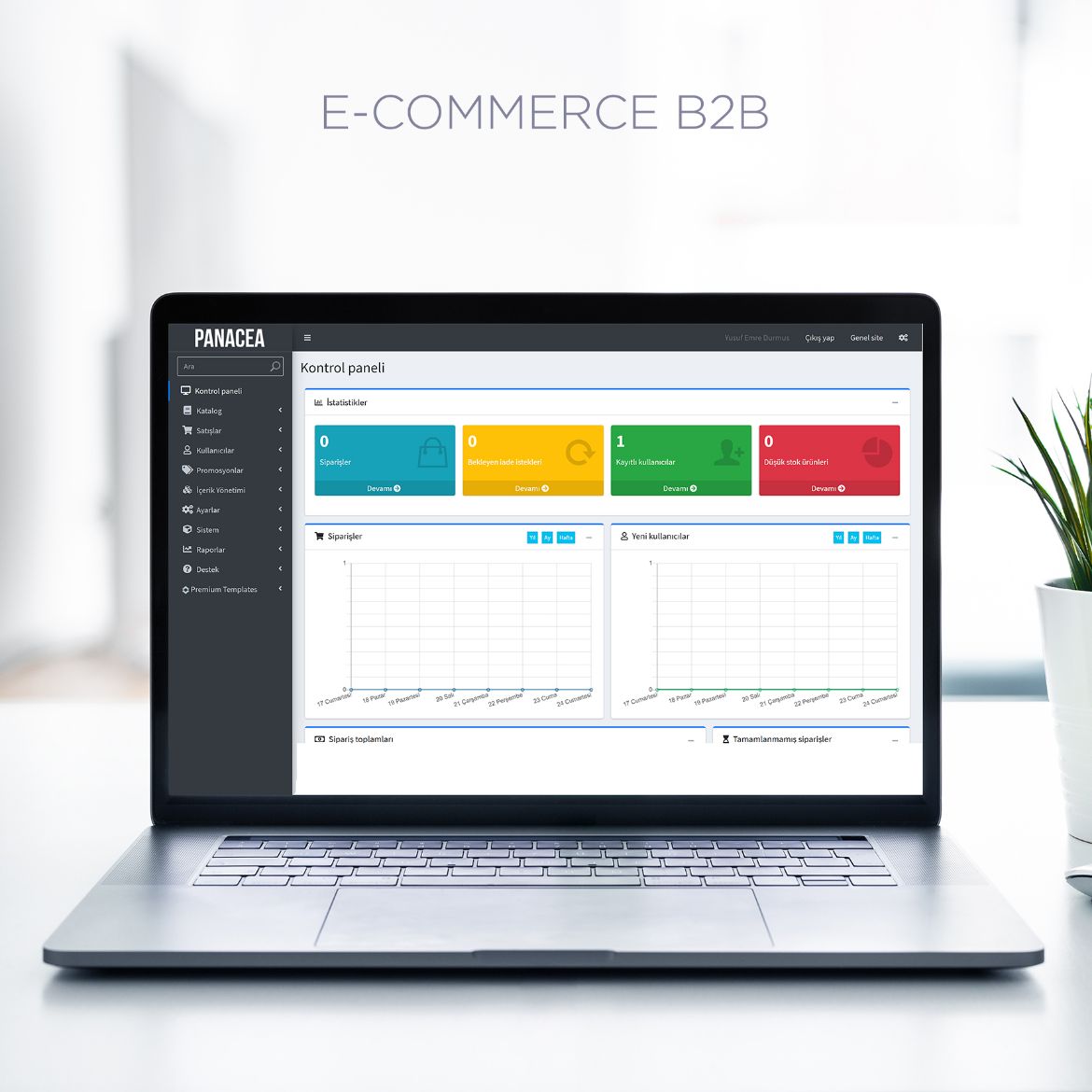 E-Commerce B2B